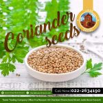 coriander seeds