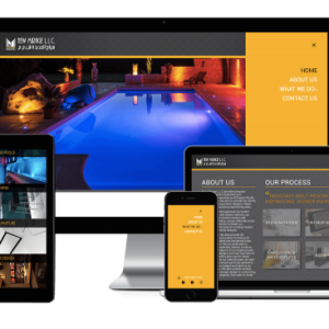 web dev in dubai
